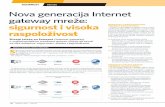 SigurnoSt Nova generacija Internet gateway mreže: sigurnost i … · MREŽA SigurnoSt Mreže vidljivost u prIVate (vMWARE) ili pUbLIc (AWs) okRuŽENju Sve većom migracijom aplikacijskih