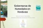 Gobernanza de Humedales en Honduras...24% de los humedales existentes, por lo que se hace necesario ampliar significativamente las áreas de humedales bajo protección. Los humedales