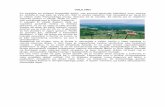 VINJI VRH - Šmarješke Toplice obcine/VINJI VRH.pdf · vzpetino poselila ilirska in keltska plemena, ki so za sabo pustila gomile, visoke od dveh do štirih metrov, njihov premer