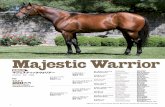 Majestic Warrior...カンフーマンボKung Fu Mambo：ペルー最優秀3歳牡馬，ペルー2勝，ペルー ダービー-G1，ペルー2000ギニー-G12着，北米勝1 Family