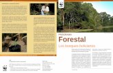 © WWF / Gustavo YBARRA PROGRAMA Forestald2ouvy59p0dg6k.cloudfront.net/downloads/fact_sheet_forestal.pdf · Los bosques bolivianos 1 • En el mercado internacional: Enlazando la