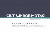 ATOPİK DERMATİTTE YAŞAM KALİTESİmikrobiyota2016.ftskongre.org/webkontrol/uploads/files/NİLGÜN SOLAK.pdf · •Deride her cm² de 10⁶ bakteri •Totalde 10 12 mikroorganizma.