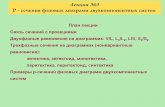 Лекция №3 P - сечения фазовых диаграмм двухкомпонентных …nano.msu.ru/files/materials/VIII_2010/solid/lecture_td_03.pdf · Лекция