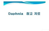 Daphnia 참고자료 · 2013-06-27 · 성체인Daphnia magna 암컷으로 등쪽에단성생식관을여러개품고 있는것이관찰된다 성체가된Daphnia Magna의 수컷의모습이다