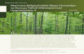Orman ve Av / Eylül - Ekim 2014 Marmara Bölgesindeki Meşe ... · hacmi, hacım artımı, göğüs yüzeyi orta ağacı çapı ve ağaç sayısı değerlerini veren tablolar envanter