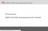 Prezentare BMF HAASE Energietechnik GmbH _RO.pdf · • tratarea şi exploatarea biogazului, gaz din depozitele de deşeuri, gaze naturale şi gaz de canalizare • generarea de energie