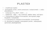 PLASTIDI - University of Ljubljana...SKUPNE ZNAČILNOSTI V ZGRADBI - dvojna membrana, lipo-proteidna, značilne sestave - lastna DNK (bakterijska!), RNK (70S ribosomi - prokarionti!)