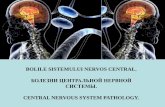BOLILE SISTEMULUI NERVOS CENTRAL. - USMF · bolile sistemului nervos central. БОЛЕЗНИЦЕНТРАЛЬНОЙ НЕРВНОЙ СИСТЕМЫ. central nervous system pathology.