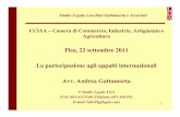 CCIAA – Camera di Commercio, Industria, Artigianato e Agricoltura partecipazione agli... · 2011-09-27 · Cenni alla disciplina comunitaria sugli appalti In ambito extra comunitario