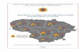 2010 METŲ GAISRŲ IR GELBĖJIMO DARBŲpagd.lrv.lt/uploads/pagd.lrv.lt/documents/files/Statistika/2018 m_ analize BENDRA 2019...1. APIE ŽŪTIS GAISRUOSE Priešgaisrinės apsaugos