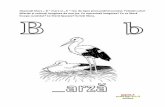 Recapitulare finala - Litera B - Scoala Romaneasca finala - Litera B.pdf · Desenați litera „ B ” mare și „ b ” mic de tipar pronunțând sunetul. Folosiți culori diferite