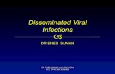 DR ENES SUMAN - Acilci.Net · Herpes 1 ve 2 simpleks herpesvirüslerinin, Varisella-zoster virüsünün (VZV), Sitomegalovirüs (CMV) Epstein-Barr virüsü (EBV) Arbovirüsler (eklembacaklı