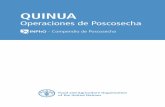 QUINUA - congreso.gob.peFILE/Quinua_operaciones_de_post_cosecha.pdf · balance de aminoácidos esenciales, resulta comparable a la proteína de origen animal. Se usa ampliamente,