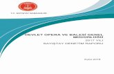 DEVLET OPERA VE BALE MÜDÜRLÜĞÜ...T.C. Sayıştay Başkanlığı Devlet Opera ve Balesi Genel Müdürlüğü 2017 Yılı Sayıştay Düzenlilik Denetim Raporu 4 mallarına ilişkin