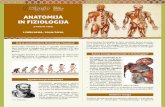 ANATOMIJA IN FIZIOLOGIJA - higeja.siFiziologija človeka je veda o lastnostih in delovanju človeškega telesa in njegovih posameznih delov (ce-lic, tkiv, organov in organskih sistemov).