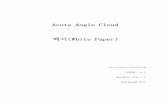 Acute Angle Cloud 백서(WhitePaper) Angle Cloud白皮书韩语版.pdf보및오디오, 비디오등콘텐츠를직접배포할수있게되었습니다. 이러한변화를통해Web