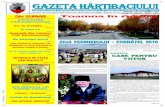 Gazeta Hartibaciului ianuarie 2009 - Agnita · Parc industrial `i renaturarea V[ii Hârtibaciului în primul instrument de dezvoltare durabil[ al \inutului „Sate din Transilvania