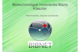 Biotechnológiai Innovációs Bázis Klaszterrkk.hu/rkk/dti/news/pab/pohli_krisztina.pdf · Térinformatikai integrációs csomag SAP-BusinessObjects termékhez 88 776 000 MarkCon