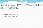 Bacillus cereusのアウトブレイク阻止に 向けた取り …kitaibaraki.info/images/cereus_2013_03.pdfBacillus cereusのアウトブレイク阻止に 向けた取り組み
