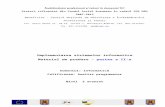 Învăţământul profesional şi tehnic în domeniul TICctptc-airinei.ro/catinfo/1Implementarea sistemelor informatice partea II.doc · Web viewAlegerea unei tehnici de programare