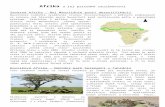  · Web viewAfrika a jej prírodné zaujímavosti Severná Afrika – Boj Mauritánie proti dezertifikácii Mauritánia rozbehla vysádzanie stromov životaschopných v púštnych