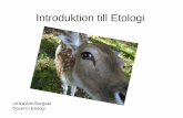 Introduktion till Etologi...Etologi • Läran om djurs beteende och dess orsaker - Närliggande (proximata) förklaringar såsom inlärning eller hormoner - Evolutionära förklaringar