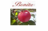 14. LOMBERGARJEVI•Lastnik: KSB (Konsortium Südtiroler Baumschuler) •Licenca za 30 let •Nadzorujejo pridelavo in prodajo sadik, ter pridelavo in prodajo jabolk Bonita . RAZŠIRJENOST