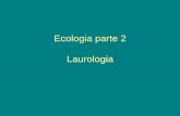 Ecologia parte 2 Laurologiacolegiomilitarpmvr.com.br/Documentos/ECOLOGIA 2.pdf · 2019-08-21 · Ecologia I • Níveis de Organização • Ecossistema • Nicho e Habitat • Níveis