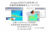 ImageJ とMATLAB を用いた 定量的画像解析チュートリアルq-bio.jp/images/9/9f/TutorialDoi.pdf · ImageJ とMATLAB を用いた 定量的画像解析チュートリアル