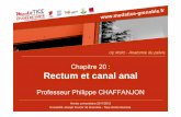 Chapitre 20 : Rectum et canal analunf3s.cerimes.fr/media/paces/Grenoble_1112/chaffanjon_philippe/chaffan... · zone cornée, kératinisée, pileuse f. pelvien viscéral musculeuse