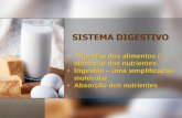 O Sistema Digestivo no Homem - blogs.ua.pt · Sistema Digestivo. Digestão Digestão mecânica: é a quebra física dos alimentos através da mastigação e dos movimentos peristálticos.