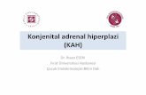 Konjenital adrenal hiperplazi (KAH) - DEUkisi.deu.edu.tr/ihsan.esen/Konjenital adrenal hiperplazi...En sık KAH nedeni (%85-95) Kalan enzim aktivitesine göre klinik değişken olabilir.