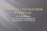 Christina Schleidt Specialuddannet psykiatrisk sygeplejerske. … · 2018-10-30 · Teoretikere inspiration i praksis -Hvem inspirerede mig undervejs?-- Kari Martinsen Vi er skabt