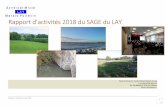 Rapport d’activités 2018 du SAGE du LAY Annuel CLE_2018.pdf · Rapport d’activités annuel 2018 6 Figure 2 : périmètre du SAGE du Lay – version de 20 16 en vert, version