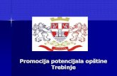 Promocija privrednih potencijala Opštine Trebinje · 2013-05-16 · – proizvodnja meda postaje sve više tražena roba na tržištu, – raste proizvodnja i prodaja ljekovitog