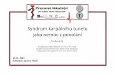 Syndrom karpálního tunelu jako nemoc z povolání · 2012-11-15 · Syndrom karpálního tunelu jako nemoc z povolání Čechová H. Klinika pracovního léka řství LF UK a FN