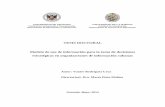 TESIS DOCTORAL Modelo de uso de información para la toma ...hera.ugr.es/tesisugr/23997461.pdf · de información-toma de decisiones estratégicas” que poseen directivos cubanos