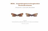 XII. lepidopterologické kolokvium · 2019-10-02 · XII. lepidopterologické kolokvium, Olomouc 4 PROGRAM KONFERENCE Referáty a prezentace posterů Přednášky budou probíhat
