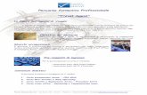 Percorso formativo Professionale “Travel Agent”fiavetvenetoservizi.com/.../04/Travel-Agent-Scheda-Tecnica-2016-FVS1.pdf · I manuali World Airways Guide e Passenger Air Tariff