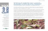 Eficiência de fungicidas para o controle da ferrugem …...Eficiência de fungicidas para o controle da ferrugem-asiática da soja, Phakopsora pachyrhizi, na safra 2013/14: resultados
