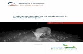 Predatie en predatoren bij weidevogels in Noordwest-Overijssel · 2018-10-02 · A&W-rapport 2236 Predatie en predatoren bij weidevogels in Noordwest-Overijssel De dominante invloed