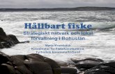 Strategiskt nätverk och lokal förvaltning i Bohuslän...Hållbart fiske Strategiskt nätverk och lokal förvaltning i Bohuslän Maria Kvarnbäck Koordinator för Fiskekommunerna,