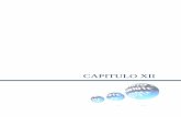 CAPITULO XII - Universidad de las Américas Pueblacatarina.udlap.mx/u_dl_a/tales/documentos/meiq/arenas_l_jr/capitulo12.pdf · el clarificador deben de sumar este volumen, debido