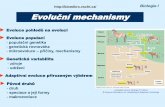 Biologie I Evoluční mechanismy - vscht.czold-biomikro.vscht.cz/vyuka/b1/8_Evolucni_mechanismy2014.pdfGenofond populace = celkový souhrn genů/alel v populaci v určitém čase Izolovaná
