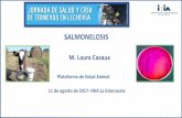 Presentación de PowerPointºblicos/INIA La Estanzuela... · 2017-08-14 · 17 Análisis de riesgo Los animales infectados con Salmonella enterica tienen 3,3 veces mas chances de