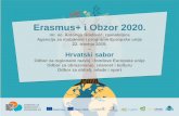 Erasmus+ i Obzor 2020.arhiva.mobilnost.hr/prilozi/05_1431078484_AG_sabor.pdf · •Združeni diplomski studiji ... „ručnog rada” i „obrade drveta”, predmeta u finskim ...
