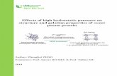 Effects of high hydrostatic pressure on structure and gelation … · 2019-06-05 · structure et les propriétés de gélification de la protéine de patate douce (PhD thesis). Gembloux