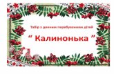 don.kyivcity.gov.ua · 2016-10-28 · Звіт про роботу дитячого табору відпочинку “Калинонька” з денним перебуванням