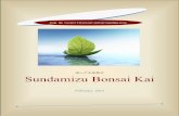 澄んだ水盆栽会 Sundamizu Bonsai Kaifiles.meetup.com/1273803/Journal_Sundamizu February, 2012.pdf · paku, for example), they take to pinching of the foliage for easy detail