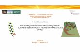 MICROINQUINANTI ORGANICI UBIQUITARI: IL CASO …...Cagliari, Fondazione di Sardegna 27, 28, 29 settembre 2017 PFAS = Per Fluoro Alkylated Substances Con l’acronimo PFAS (sostanze